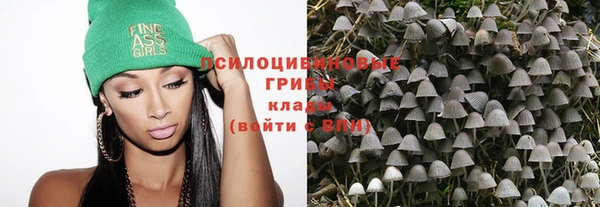 apvp Арсеньев