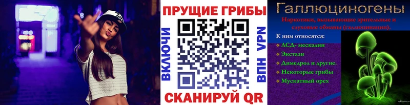 Купить  Анжеро-Судженск  Псилоцибиновые грибы мицелий 